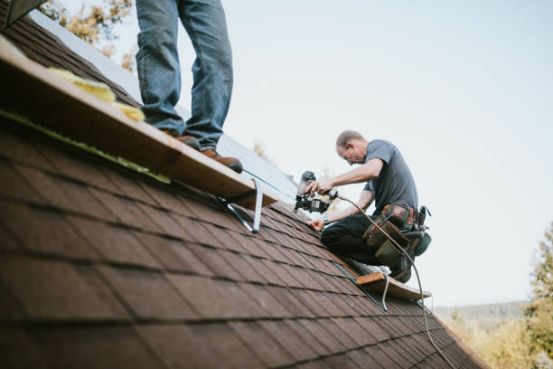 Emergency Roof Repair in Park Forest, IL